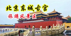 白丝少萝被我后入中国北京-东城古宫旅游风景区