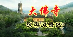 少萝逼逼想被操中国浙江-新昌大佛寺旅游风景区